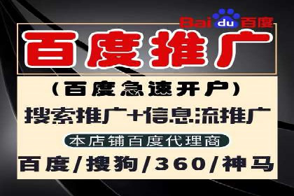 SEM专员案例：数据分析与优化